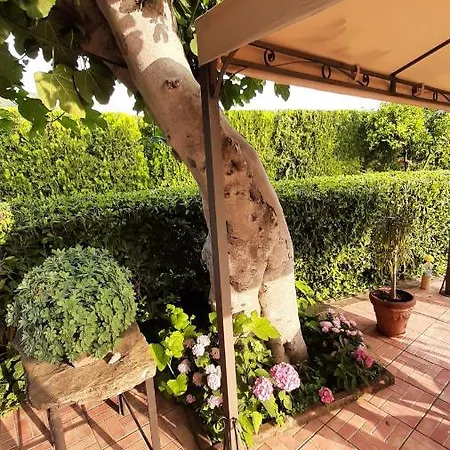Casale Battaglini Bed & Breakfast Castelnuovo Cilento