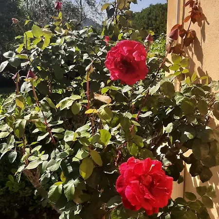 Bed & Breakfast Casale Battaglini