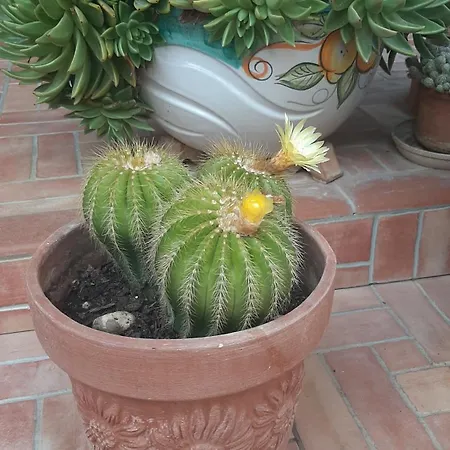 Frühstückspension Casale Battaglini 3*
